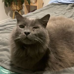 Meet your Posher, Lily